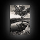 Tree Reflection, Still Water, Peaceful Nature, Framed Canvas Print, Tranquil Wall Art, Rustic Bedroom Decor, Black and White Photography