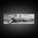 Desert Lizard, Reptile Closeup, Sunbaked Texture, Canvas Print, Wildlife Photography, Bold Wall Art, Southwestern Living Room