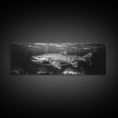 Underwater Fish, Lake Trout, Black and White Ocean, Framed Canvas Print, Coastal Bathroom Art, Fisherman Gift, Nautical Wall Decor