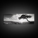 Lone Tree, Coastal Sunset, Ocean Horizon, Framed Canvas Print, Tranquil Landscape Art, Meditation Room Wall Art, Nature Zen Decor