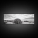 Beach Dunes, Coastal Grass, Nature Serenity, Canvas Print, Minimalist Bedroom Art, Soft Tones, Tranquil Beach Wall Decor