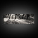 Sunrays Meadow, Tree Light, Golden Hour, Framed Canvas Print, Fall Living Room Art, Rustic Nature Decor, Warm Toned Landscape