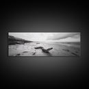 Snake On Beach, Coastal Wildlife, Dramatic Black and White, Framed Canvas Print, Nature Wall Art, Minimalist Decor, Office Statement Art