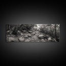 Rocky Path, Forest Trail, Autumn Mood, Canvas Print, Nature Photography, Rustic Entryway Decor, Woodland Art, Cabin Hallway Style