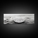 Sand Dollar, Ocean Shore, Calm Waters, Canvas Print, Coastal Wall Art, Minimalist Bathroom Decor, Seashell Beach Photography