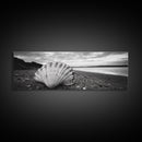 Shell on Shore, Monochrome Coastal, Canvas Print, Boho Wall Art, Bathroom Wall Decor, Natural Beach Aesthetic, Ocean Inspired Art