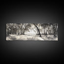 Dreamy Beach Forest, Sepia Trees, Canvas Print, Nature Wall Decor, Fall Bedroom Art, Rustic Woodland Landscape, Tree Shadow Light