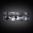 Swamp Roots, Cypress Trees, Flooded Forest, Framed Canvas Print, southern nature art, rustic lodge wall decor, moody woodland photography