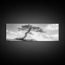 Lone Curved Tree, Zen Nature Print, Minimalist Landscape, Calming Decor, Framed Canvas Print, Bedroom Wall Statement