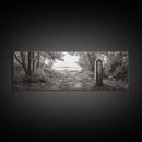 Forest Edge Trail, Nature Path Print, Sepia Photography, Cozy Autumn Vibes, Canvas Print, Entryway or Hallway Wall Art
