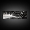 Ocean Trees, Shoreline Light, Majestic Forest, Beach Scene, Framed Canvas Print, Boho Wall Decor, Bedroom Art, Zen Coastal Artwork