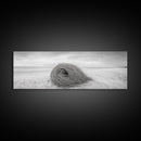Tumbleweed Nest, Desert Beach, Natural Sculpture, Coastal Simplicity, Canvas Print, Modern Boho Wall Art, Neutral Home Aesthetic