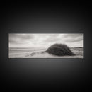 Windswept Dunes, Coastal Brush, Tumbleweed Form, Beach Nature, Framed Canvas Print, Fall Wall Art, Rustic Decor, Neutral Bedroom Style
