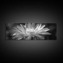 Soft Bloom, Desert Cactus Flower, Close-Up Botanical, Modern Black White Art, Framed Canvas Print, Bathroom Wall Art, Nature Photography