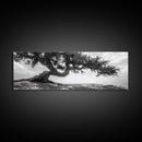 Bending Tree, Windswept Landscape, Coastal Nature, Monochrome Art, Framed Canvas Print, Zen Wall Art, Minimalist Living Room Decor