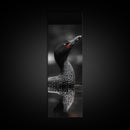 Loon Bird, Red Eye, Monochrome Wildlife, Nature Framed Canvas Print, modern living room wall art, black and white animal art