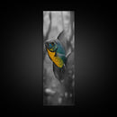 Bluegill Fish, Underwater Life, Bold Colors, Freshwater Beauty, Framed Canvas Print, Nature Art, Bathroom Wall Art, Aquatic Decor
