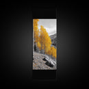Golden Aspens, Fall Forest, Mountain Trees, Framed Canvas Print, Autumn Wall Art, Nature Cabin Decor, Fall Foliage, Rustic Living Room