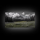 Mountain, Meadow, Wildflowers, Alpine meadow bloom and majestic peak on this Framed Canvas Print, serene Nature Wall Art for Entryway