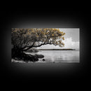 Mangrove Tree, Coastal Roots, Golden Leaves, Ocean View, Framed Canvas Print, Beach House Art, Nature Wall Decor, Minimal Coastal Vibe