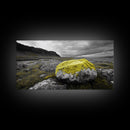 Yellow Moss Rock, Moody Nature Photography, Icelandic Landscape Art, Wilderness Inspired Canvas Print, Rustic Cabin Wall Decor