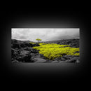 Lone Tree Lava, Surreal Earth Tones Decor, Abstract Volcanic Art, Black and Yellow Landscape, Canvas Print, Boho Living Room Accent