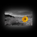 Yellow Flower, Desert Bloom, Monochrome Landscape, Canvas Print, Botanical Wall Art, Minimalist Nature Decor, Modern Kitchen Accent