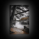 Autumn Forest Lake, Nature Photography, Scenic Landscape, Canvas Print, Rustic Cabin Decor, Neutral Tones, Bedroom Wall Art, Outdoor Art