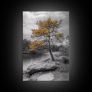 Golden Tree View, Nature Serenity, Fall Lake Art, Peaceful Pine, Framed Canvas Print, living room wall art, minimalist landscape print