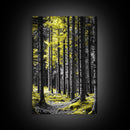 Yellow Forest, Tall Pines, Woodland Scene, Framed Canvas Print, Modern Nature Wall Art, Cabin Living Room Decor, Fall Forest Art