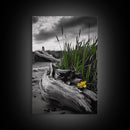 Wild Bloom, Yellow Flower, Driftwood and Grass, Moody Beach Scene, Framed Canvas Print, Autumn Wall Art, Nature Decor, Cozy Home Accent