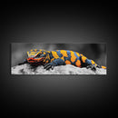 Colorful Lizard Art, Vibrant Reptile Closeup, Wildlife Macro, Canvas Print, Bold Nature Decor, Kids Room Wall Art, Bedroom Wall Art