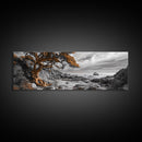 Twisted Tree, Rugged Coast, Autumn Forest, Framed Canvas Print, fall wall art, rustic nature print, living room decor, woodland landscape