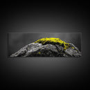 Yellow Moss, Stone Detail, Minimal Nature, Framed Canvas Print, modern zen wall art, earthy bathroom decor, botanical accent