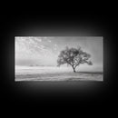 Solitary Tree, Minimalist Art, Landscape Painting, Oak Tree Art, Extra Wide Art, Moody Art, Wabi Sabi Wall Art, Framed Canvas Print
