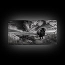 Bison Landscape, Southwest Wall Art, Rustic Wall Art, Moody Art, Panoramic Art, Extra Wide Art, Nature Wall Art, Framed Canvas Print
