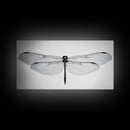 Dragonfly, line art, minimalist art, black and white art, nature painting, botanical prints, extra wide art, framed canvas print