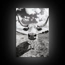 Texas Longhorn Close-up, bull and bear art, western decor, farmhouse art, rustic wall art, cowboy painting, framed canvas print