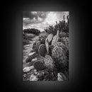 Cactus Trail, southwest wall art, rustic decor, desert painting, wabi sabi art, nature landscape art, framed canvas print, farmhouse decor