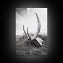 Large horns, rustic skull, bull and bear art, moody wall art, desert decor, cowboy aesthetic, framed canvas print, minimalist art