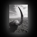 Lone Horn, desert minimalism, rustic western art, wabi sabi decor, moody photography, framed canvas print, black and white, southwest art