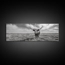 Texas Longhorn, Rustic Wall Art, Canvas Print, Farmhouse Art, Western Decor, Above Bed Art, Extra Wide Art, Moody Black And White Art