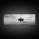Lone buffalo, western landscape, rustic wall art, panoramic art, extra wide art, farmhouse decor, framed canvas print, wildlife painting, bull and bear art
