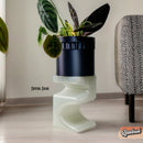 Plant Stand for Indoor Plant Pots - Perfect for House Plants and Plant Lovers, Gift for Plant Lover, Art Deco Planter Stands, Contour
