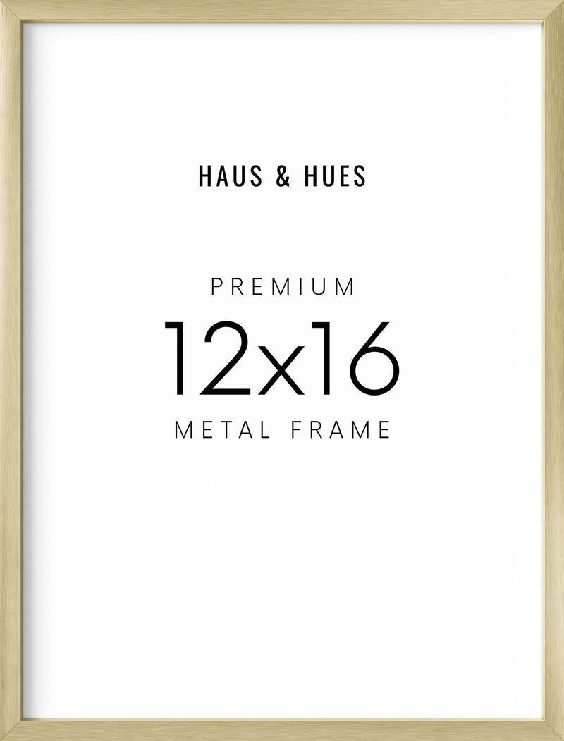 12x16, Gold Aluminum Plexi Frame