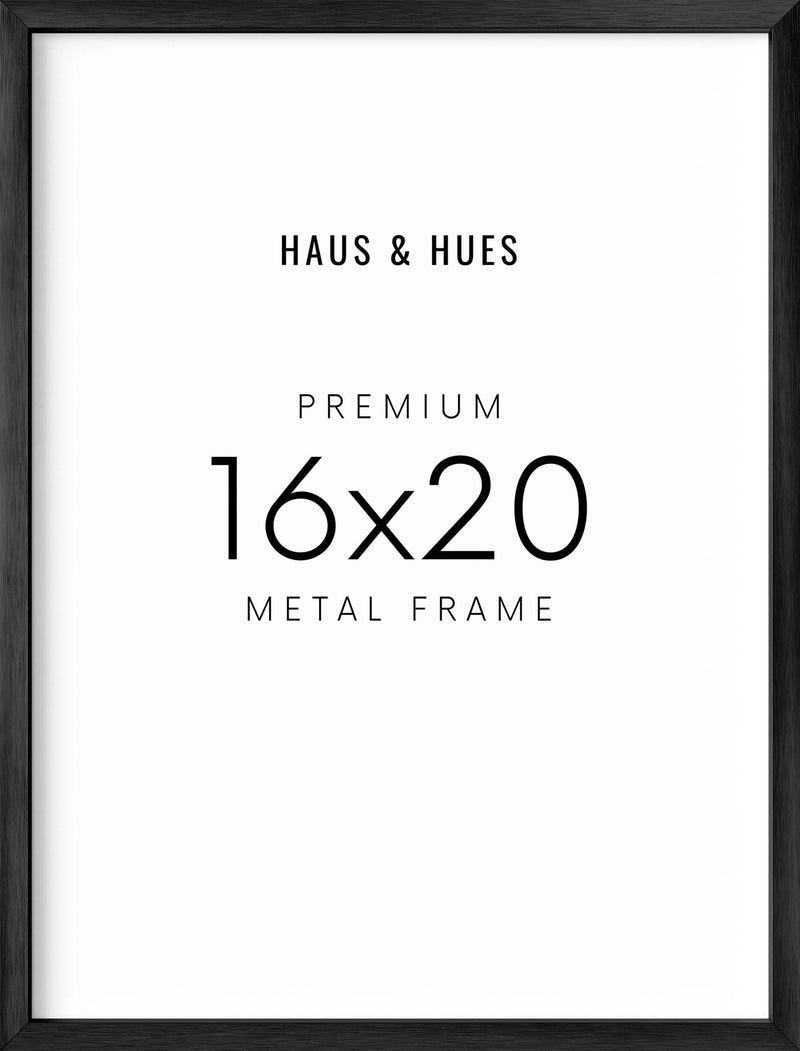 16x20, Black Aluminum Plexi Frame