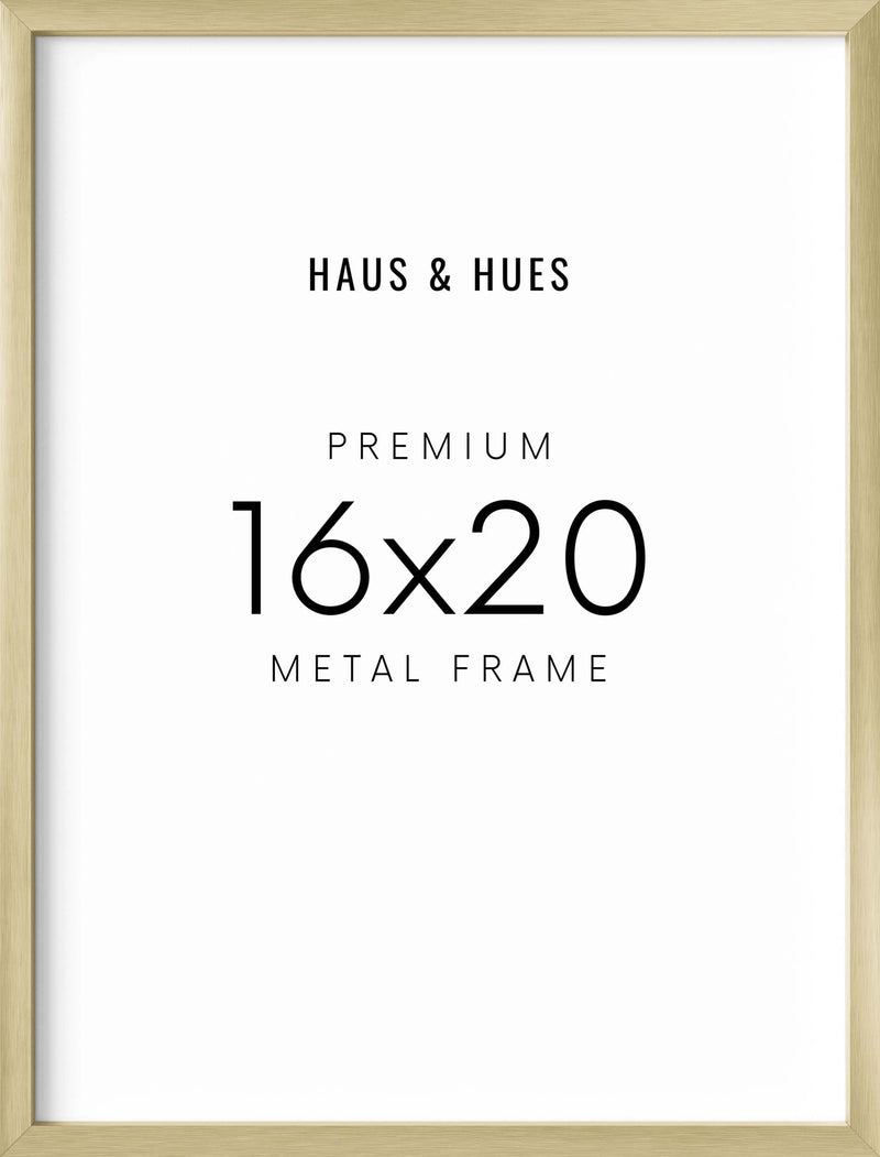 16x20, Gold Aluminum Plexi Frame
