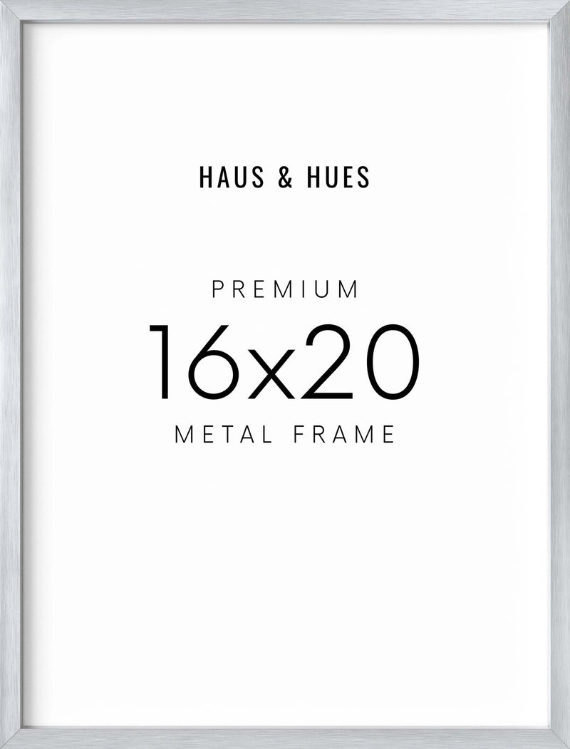 16x20, Silver Aluminum Plexi Frame