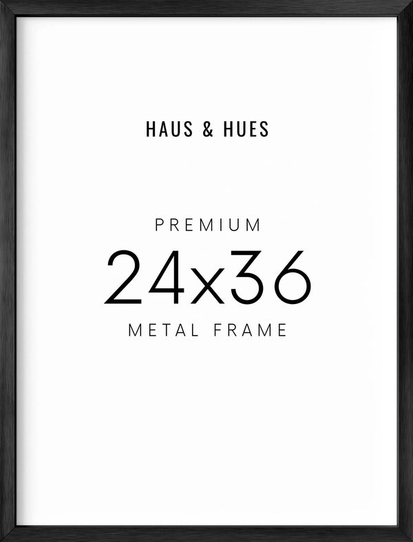 24x36, Black Aluminum Plexi Frame