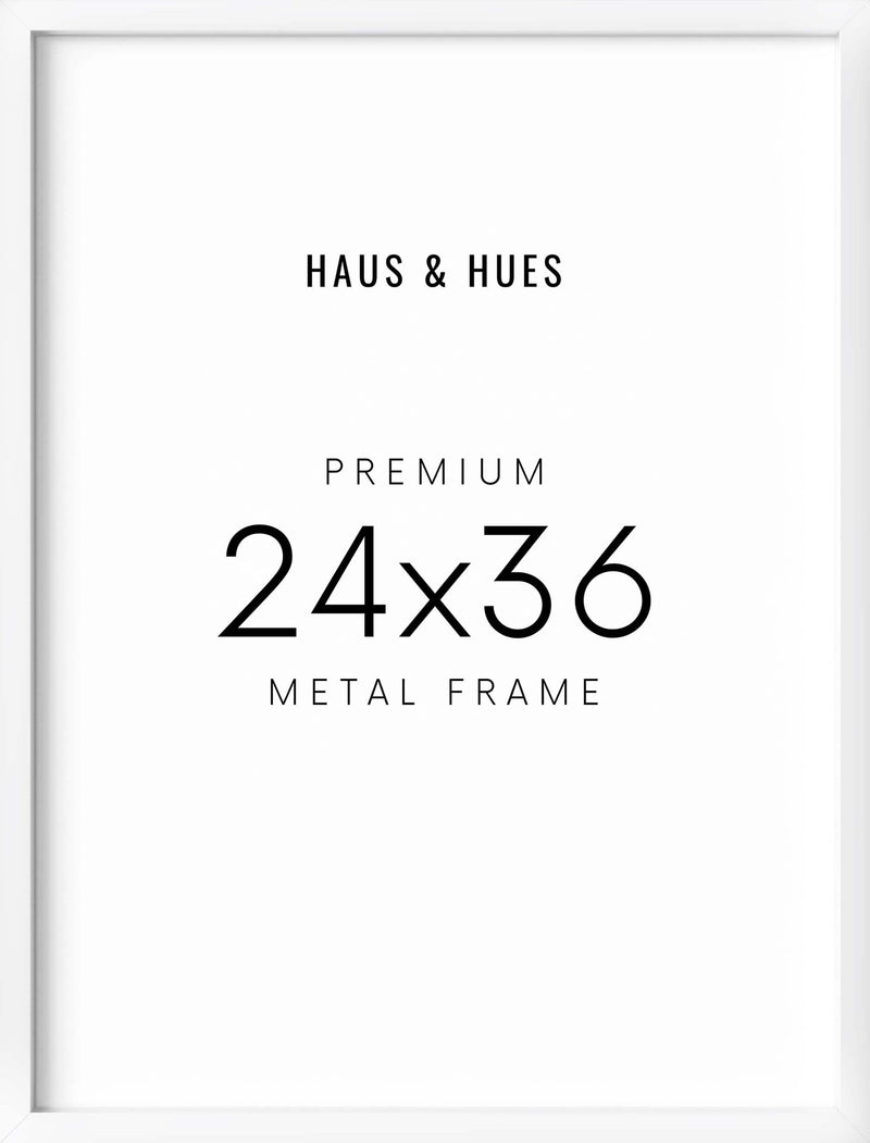 24x36, White Aluminum Plexi Frame